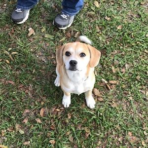 Meet your Posher, Leta